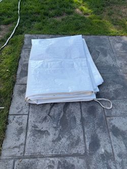 Tarp