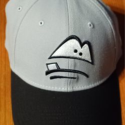 Lansing Michiagn Triple A Baseball Team Lugnuts Oakland A Fram Players