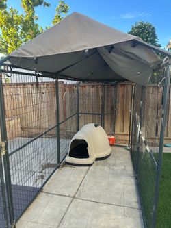 2 large dog cages