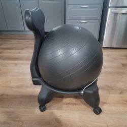 Yoga Ball Chair