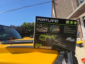 Electric chainsaw