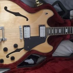 schecter corsair Electric guitar hardcase