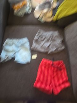 Shorts toddler 2t