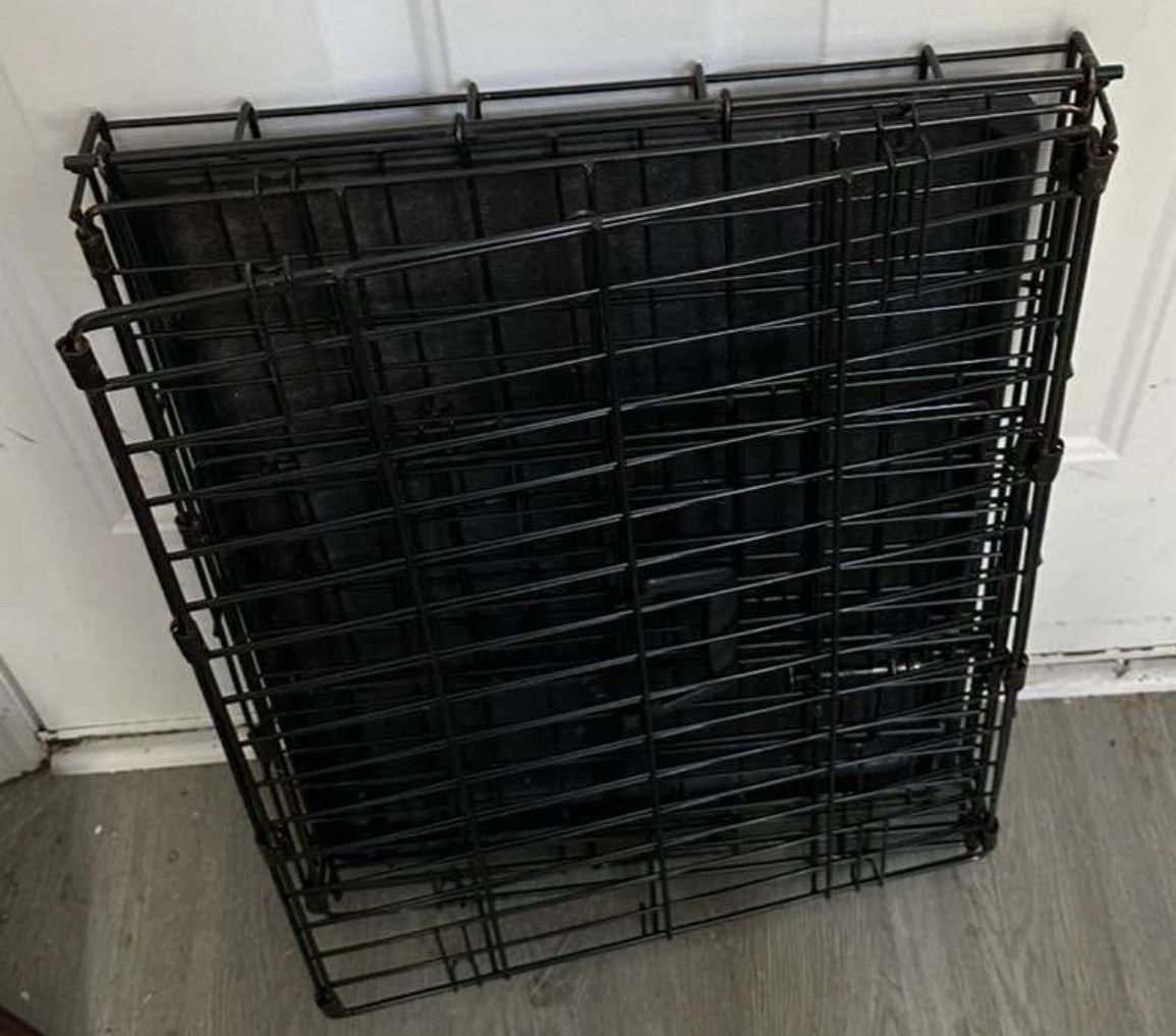 Pet Carrier