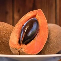 Planta De Mamey 