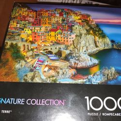 1000 Piece Puzzle 