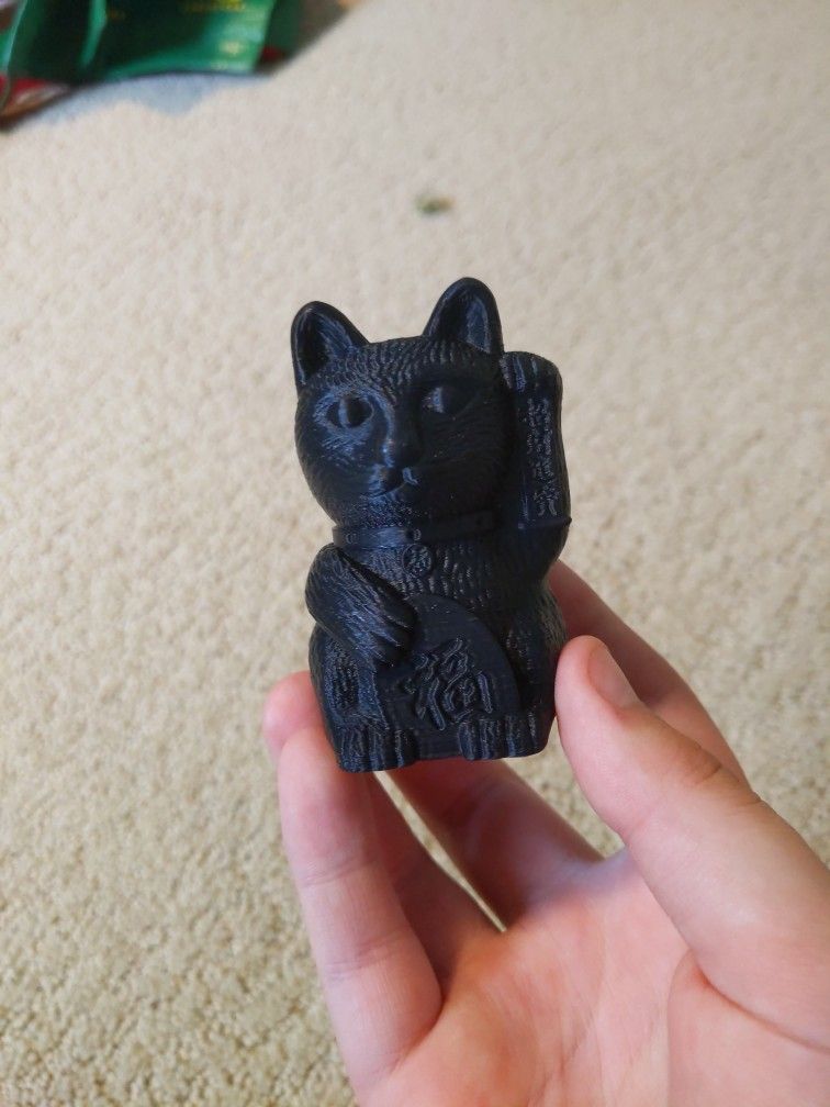 3D Printed Cat