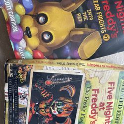 2 X  Five Nights at Freddy’s Books