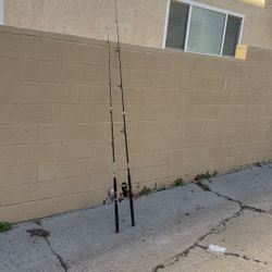 Fishing Real And Pole