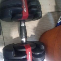 Bowflex Weights With Stand