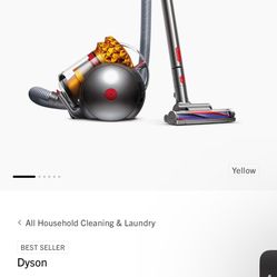 Dyson Big Ball Multi Flirt