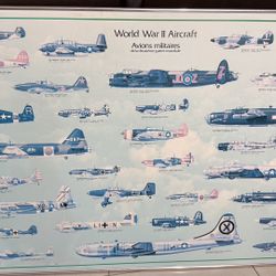 Airplane Poster