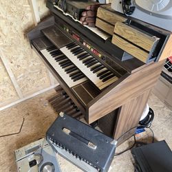 Organ