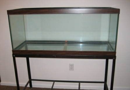 55 Gallon Reptile Tank With Stand