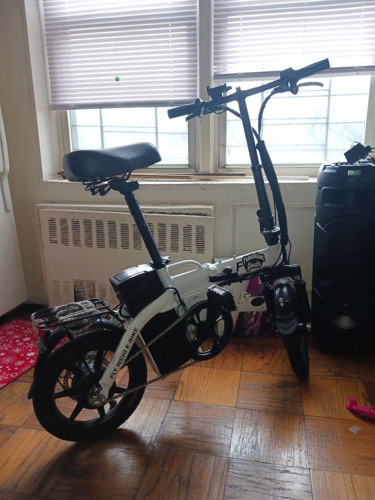 Fw-2 Fly Wing E Bike