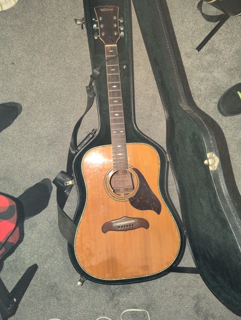 Ventura V - 14 Acoustic Guitar With Case
