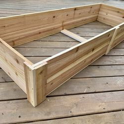 Cedar raised bed (6'x2'x12")