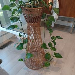 Plant Stand. 34" T