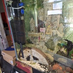 Large Aquarium Decoration 