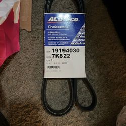 Serpentine Belt