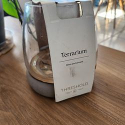 Glass and cement terrarium