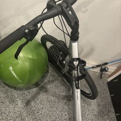 Trek Cruiser Bike