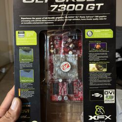 NVIDIA Gaming GeForce 7300 GT