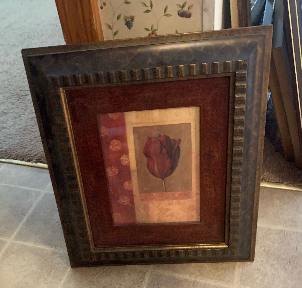 Beautiful Red Rose In Nice Frame