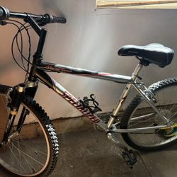 Specialized Bike