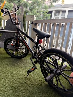 Bike 20” mangoes