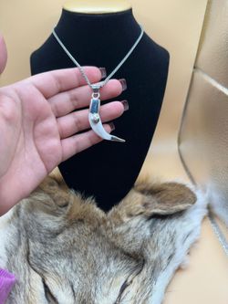 Colmillo de coyote con diseño de sombrero 🤠