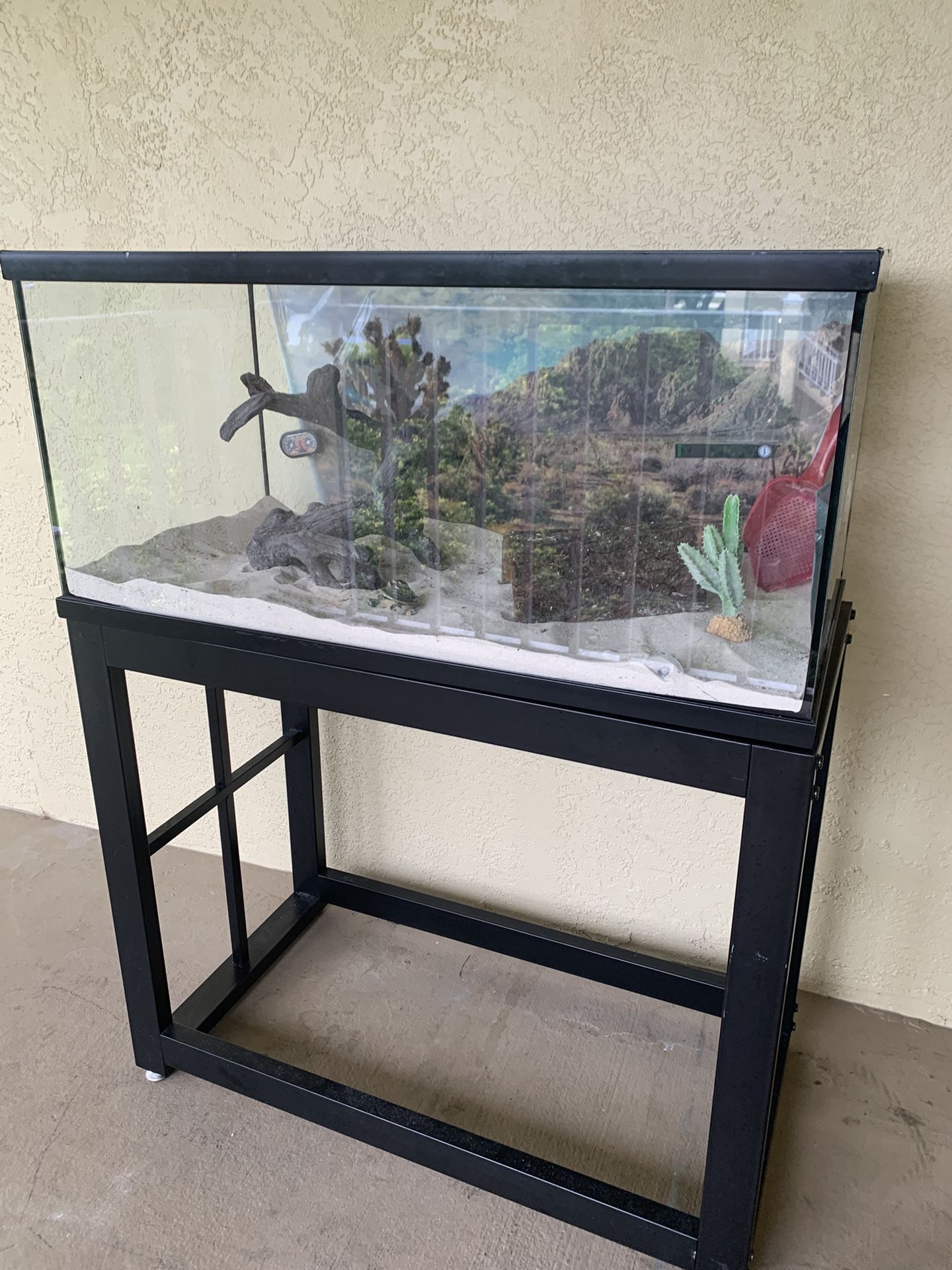 Reptile Tank And Set Up