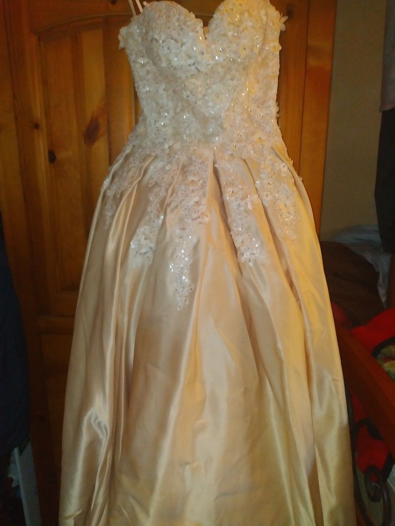 Gold/champagne Colored Quince Dress Size Large