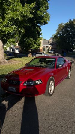 2000 Ford Mustang