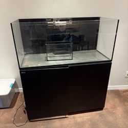 Fish Tank 