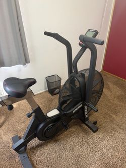 Rogue echo bike