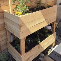Cedar Planter 