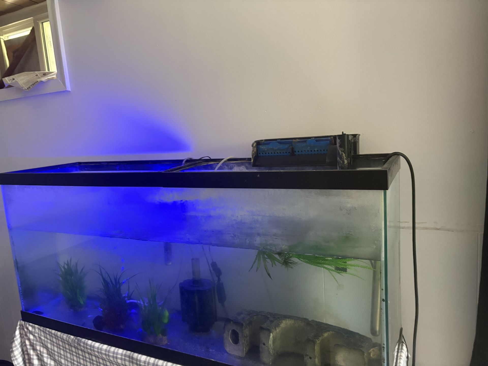 Fish Tank