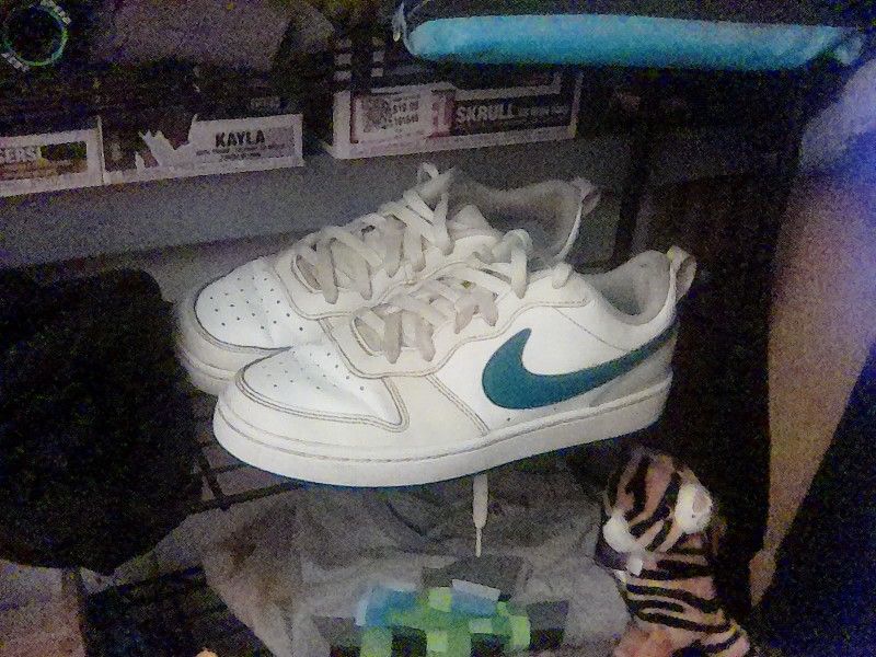 Nike Shoe