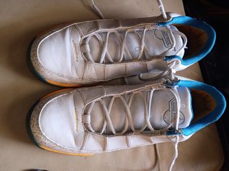 Jordan 9.5