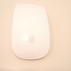 Apple Mouse AA Batteries 