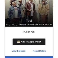 Tool Floor Concert Ticket