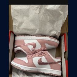 Brand New Dunks 5.5y
