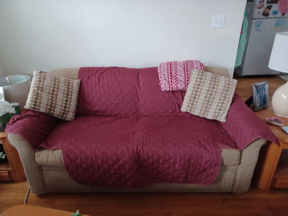 Queen Size Sofa Bed Couch
