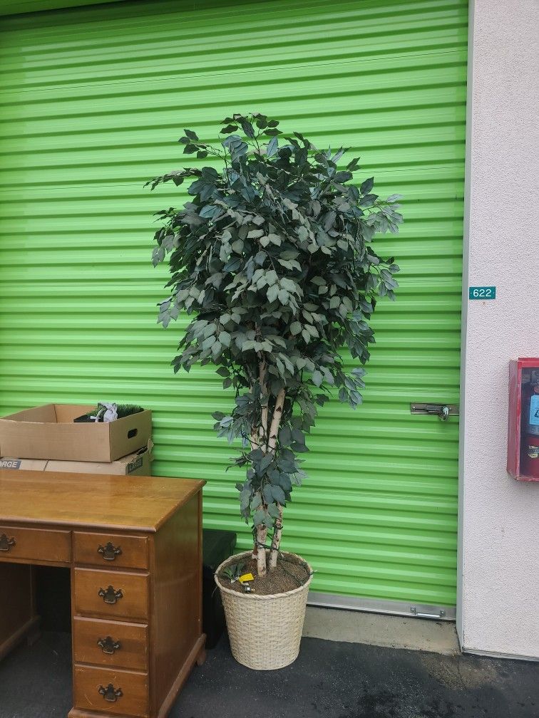 Faux Plant