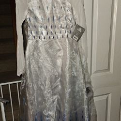 Disney- Frozen 2 - Elsa Dress (New With Tags)