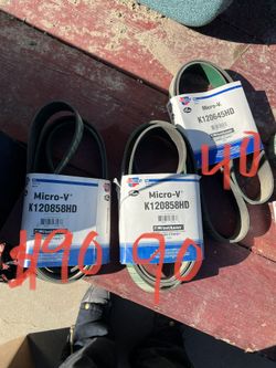 Gate Belts