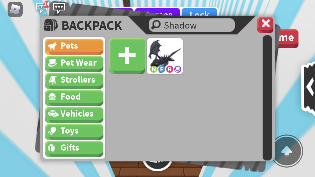 Adopt me Shadow dragon bundle