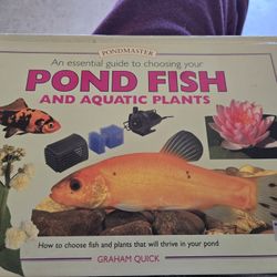 Pond Fish$8.00