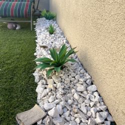 White Rocks And Fake Plants 
